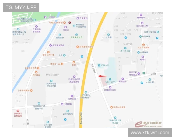 网球巨星复出战火热开启 期待赛季大爆发与新星对决